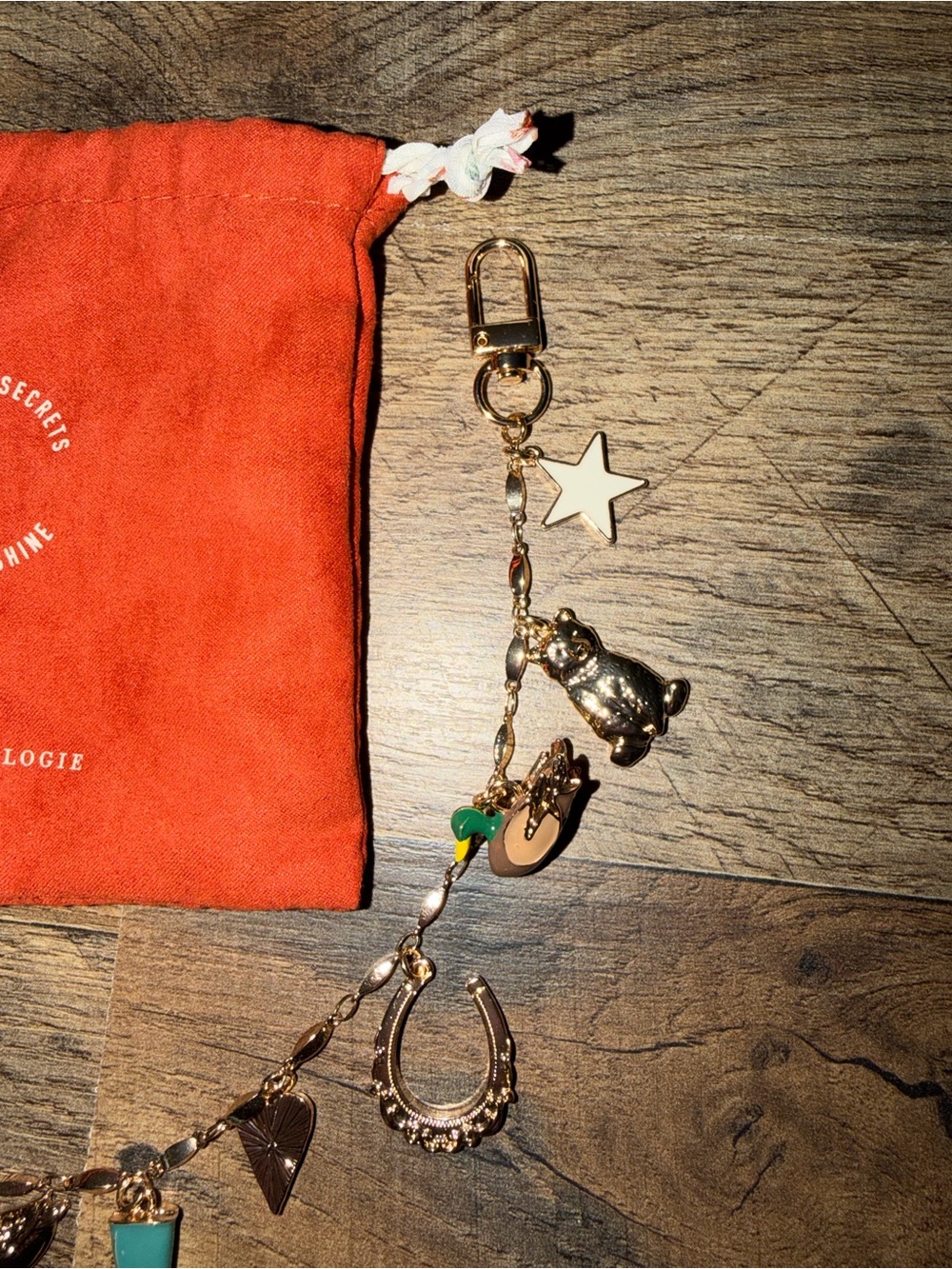 Anthropologie Bag Charm - Picture 2 of 4